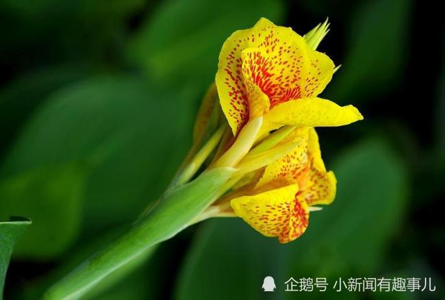 开云官网-海中金命最旺的数字